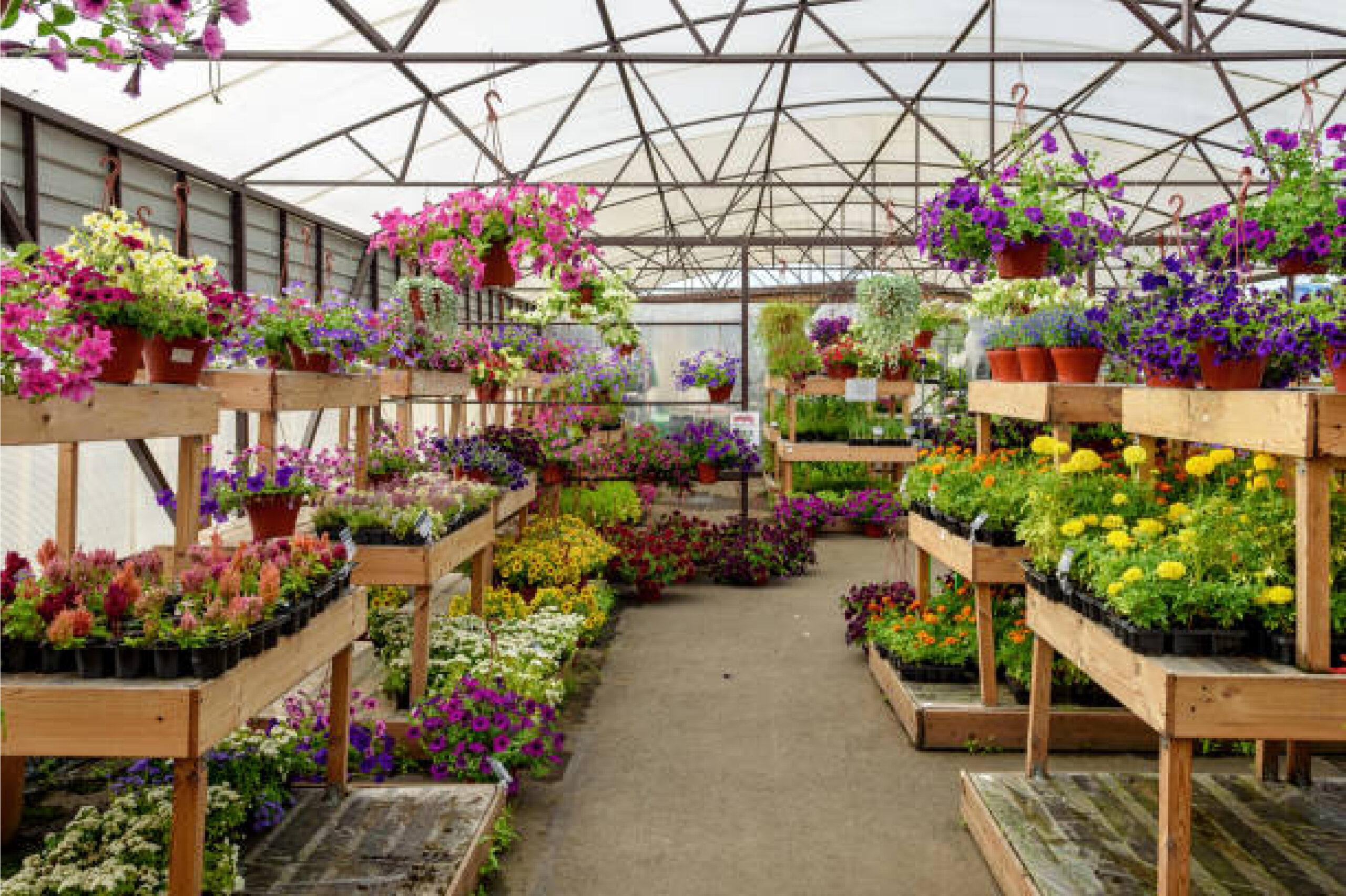Plant Nursery